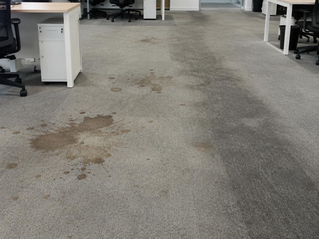 Office carpet treatment, before