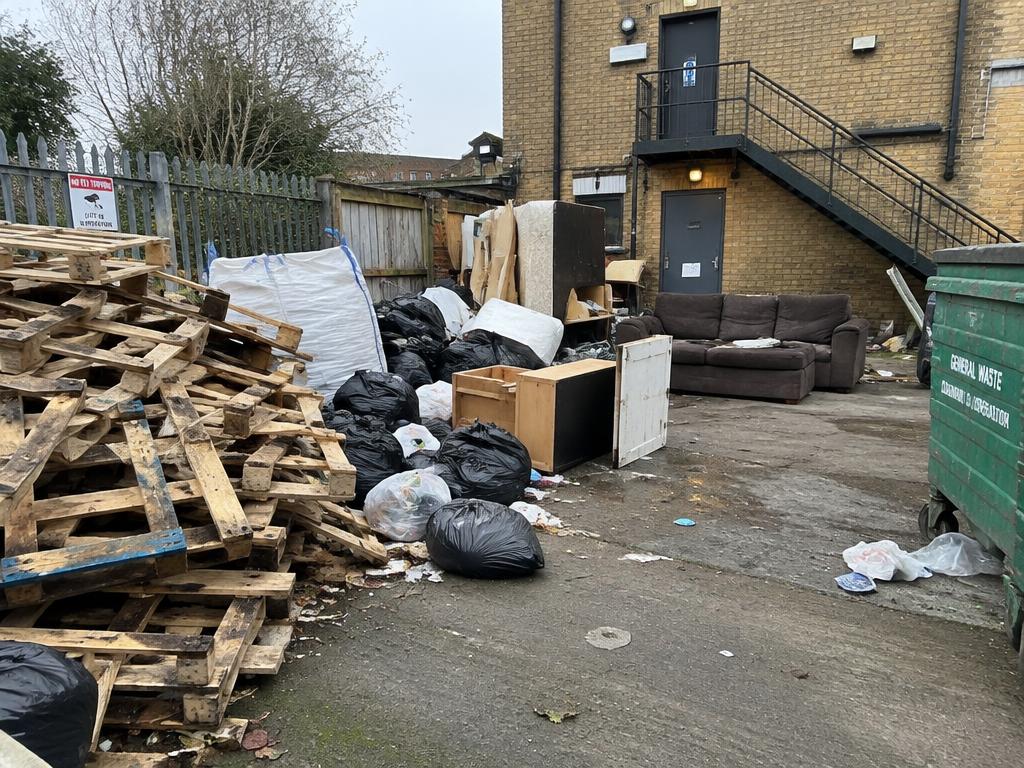 Commercial yard clearance, before